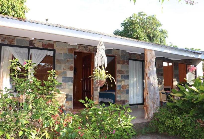 פנסיון Hostal Avareipua