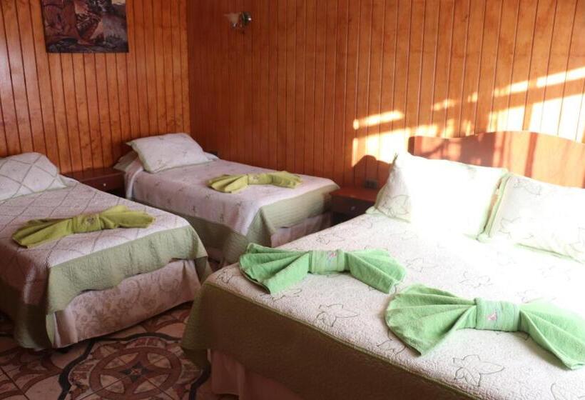 פנסיון Hostal Avareipua