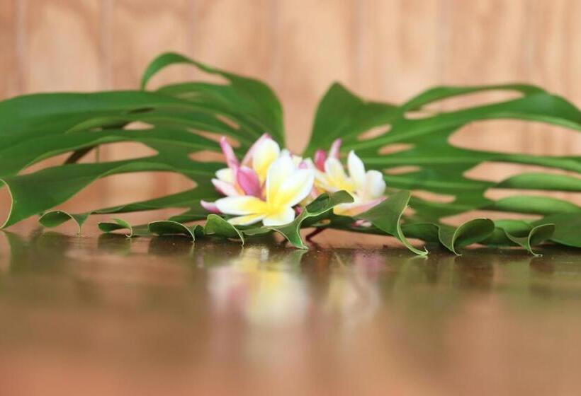 膳宿费 Hostal Avareipua