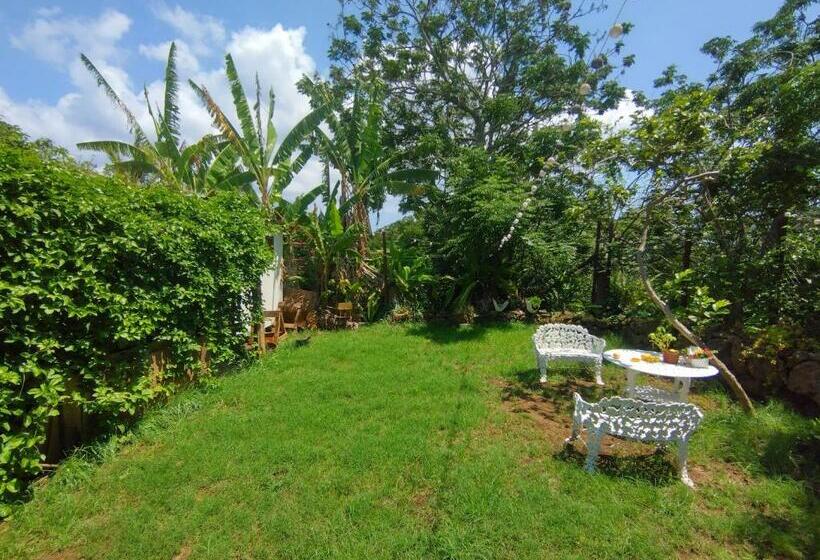 ペンション Hostal Makohe Rapa Nui