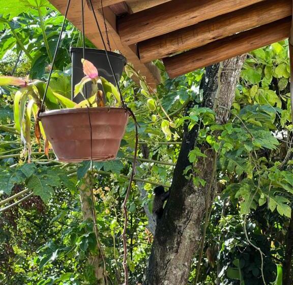 פנסיון Locanda Ariramba