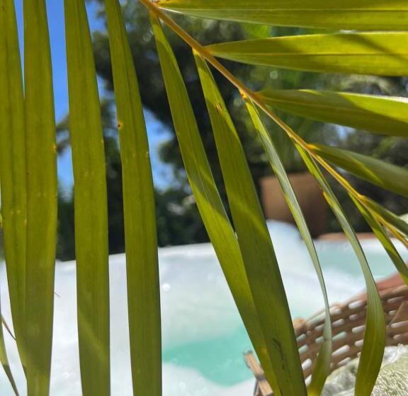 פנסיון Locanda Ariramba