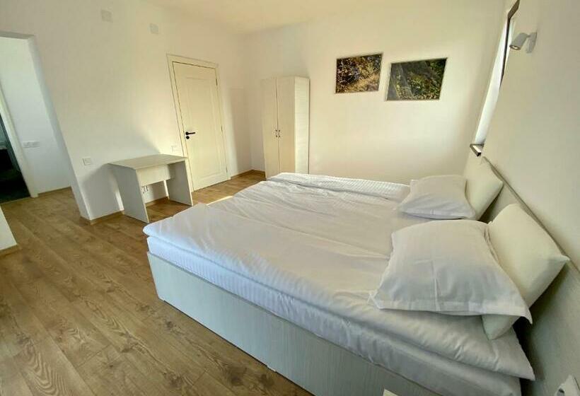 Пансион Plaiulgreenbike