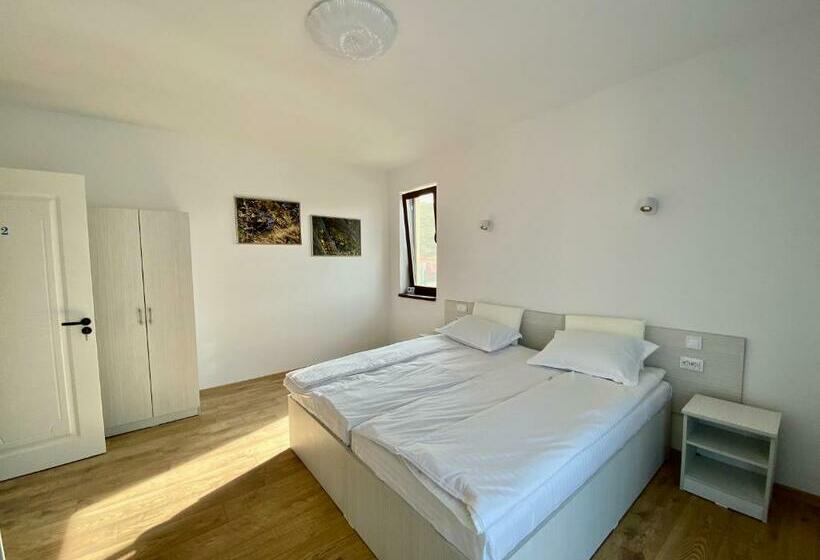 Пансион Plaiulgreenbike