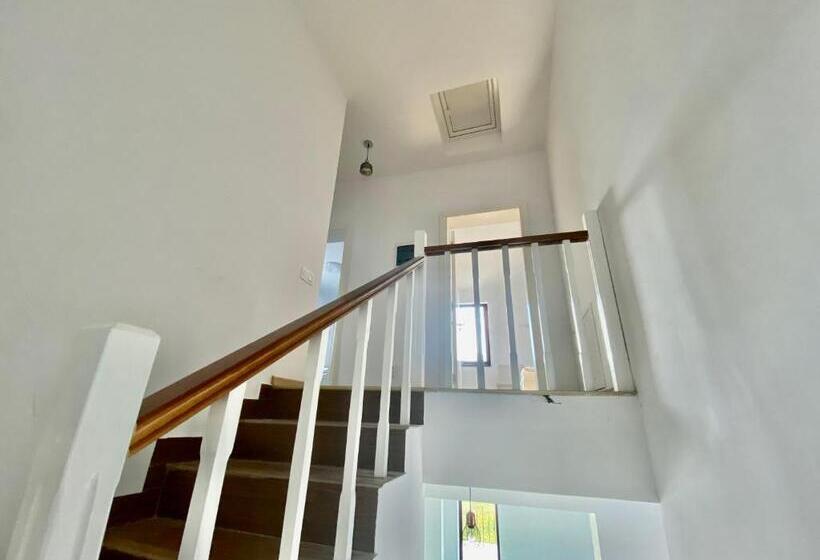 Пансион Plaiulgreenbike