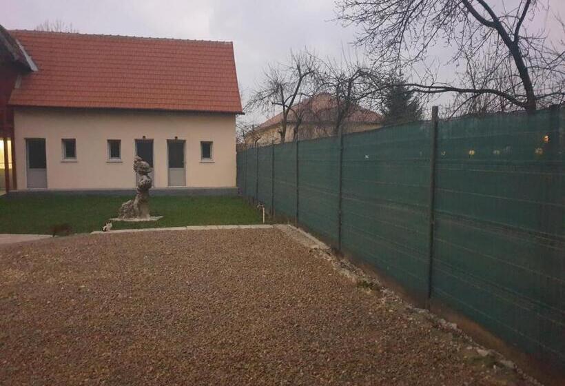 פנסיון Vila Dionysos Brasov