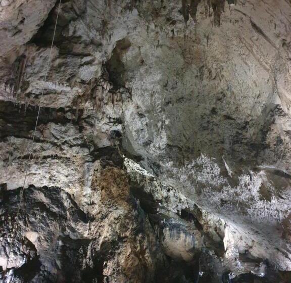 פנסיון Vila Dionysos Brasov