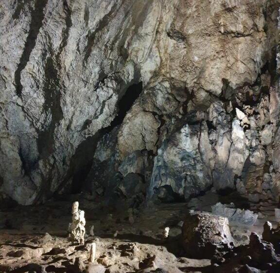 פנסיון Vila Dionysos Brasov