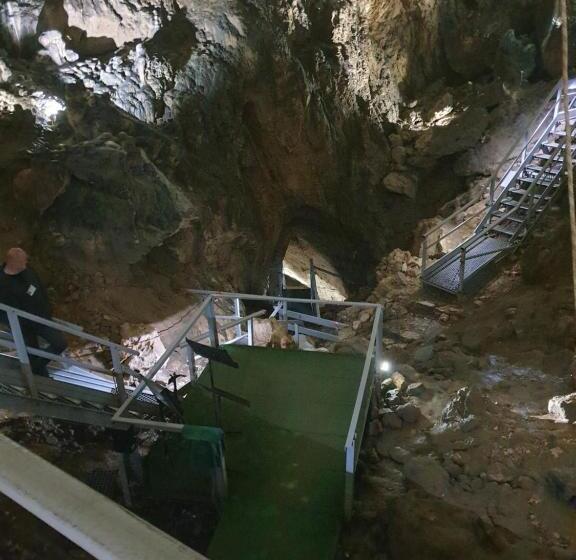 פנסיון Vila Dionysos Brasov