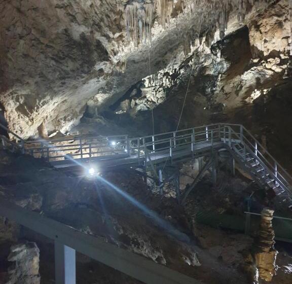 פנסיון Vila Dionysos Brasov