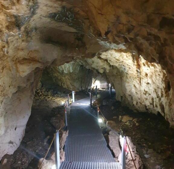 פנסיון Vila Dionysos Brasov