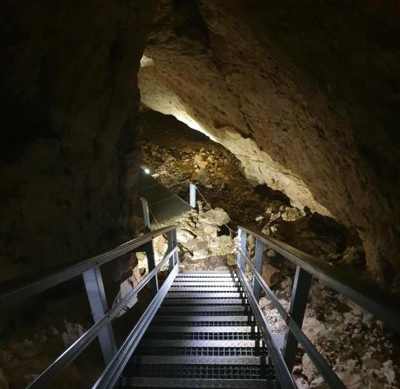 פנסיון Vila Dionysos Brasov