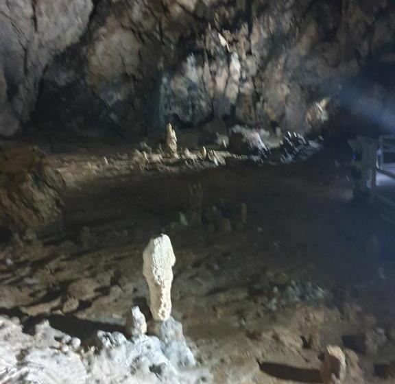 פנסיון Vila Dionysos Brasov