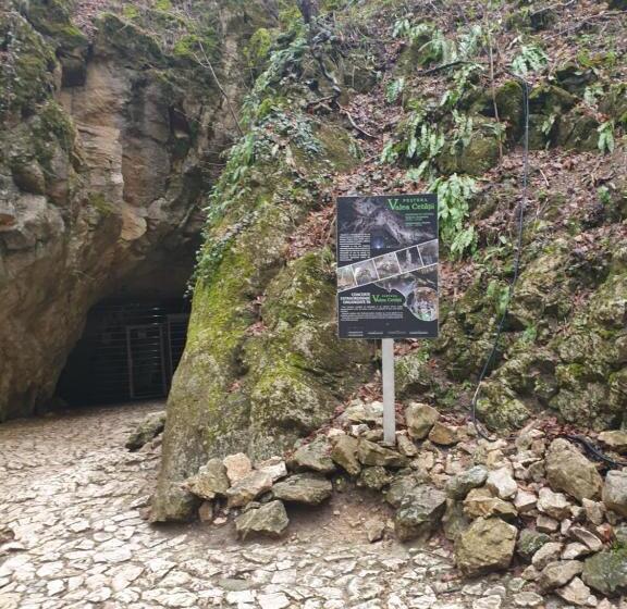 פנסיון Vila Dionysos Brasov