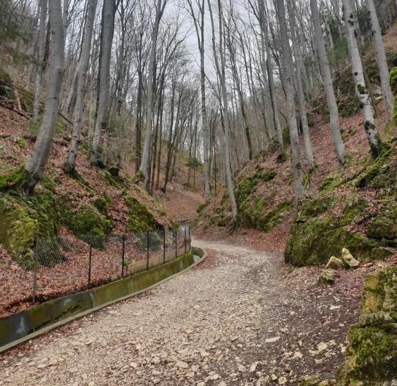 פנסיון Vila Dionysos Brasov