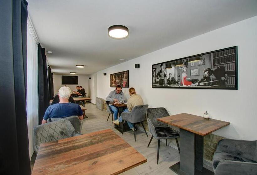 ペンション Vila Vyšehrad