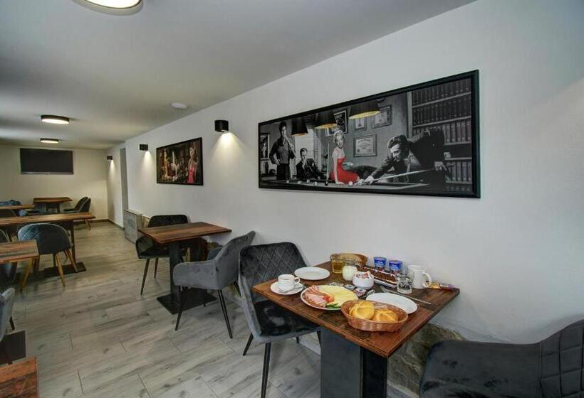 ペンション Vila Vyšehrad