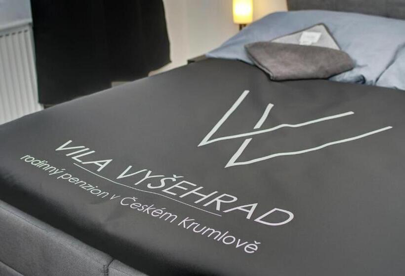 ペンション Vila Vyšehrad