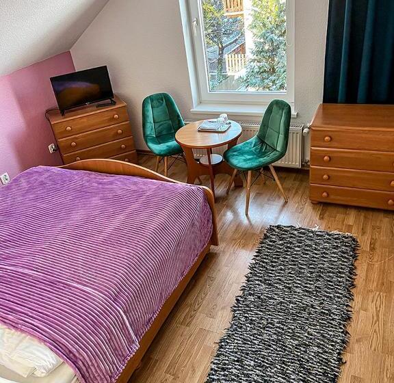 بنسيون Willa Radosna