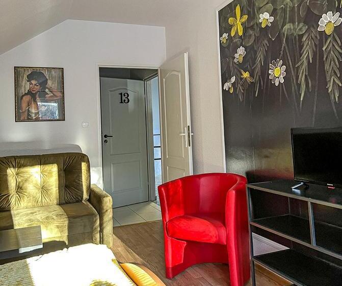 بنسيون Willa Radosna