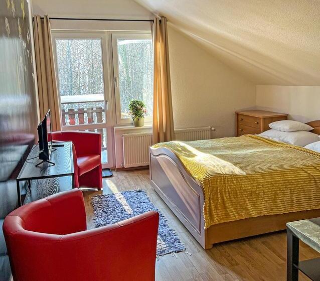 بنسيون Willa Radosna