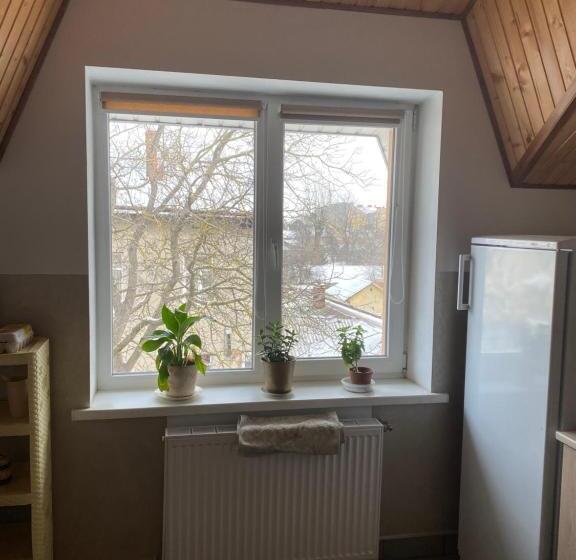 هاستل домашній затишок