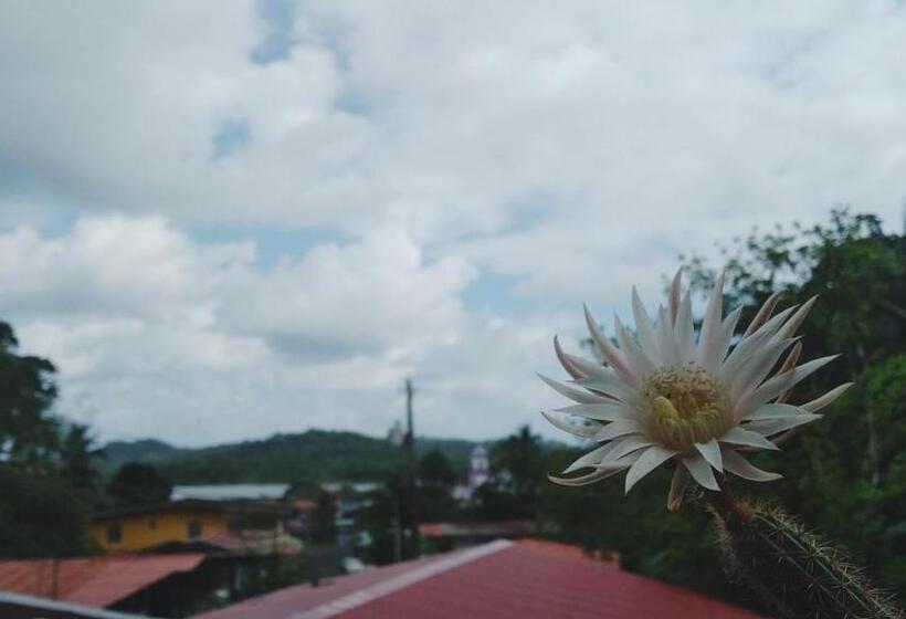 ユースホステル Hostal Portobelo