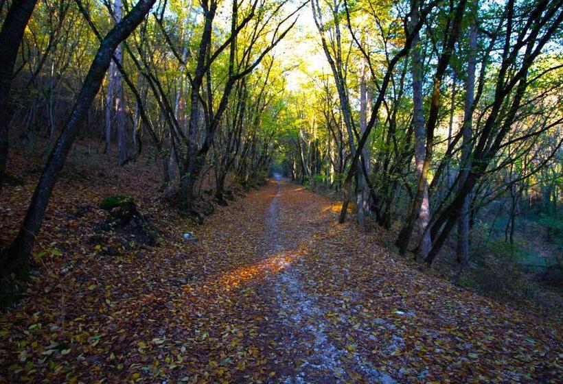 تختخواب و صبحانه Aria Di Bosco