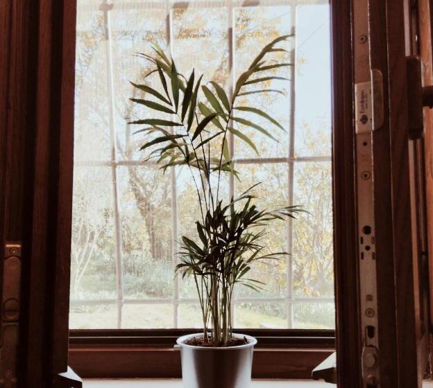 ベッドアンドブレックファースト Casale Del Tempo Lento