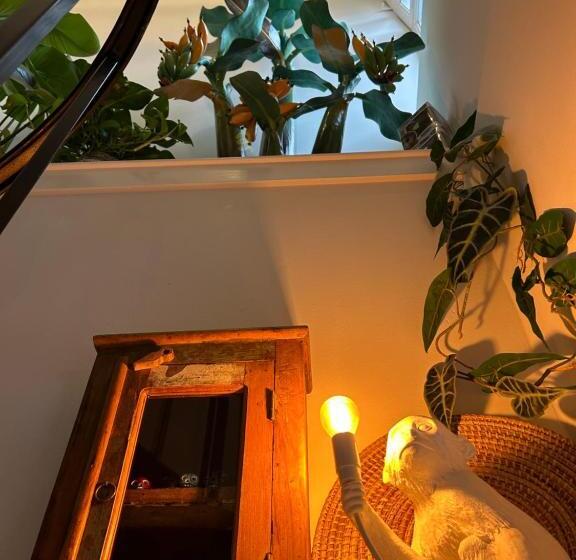 ベッドアンドブレックファースト Monkey Tree Stay