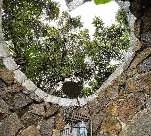 住宿加早餐  Nativo