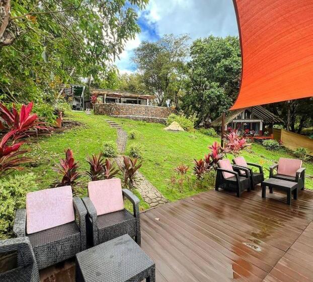 住宿加早餐  Nativo