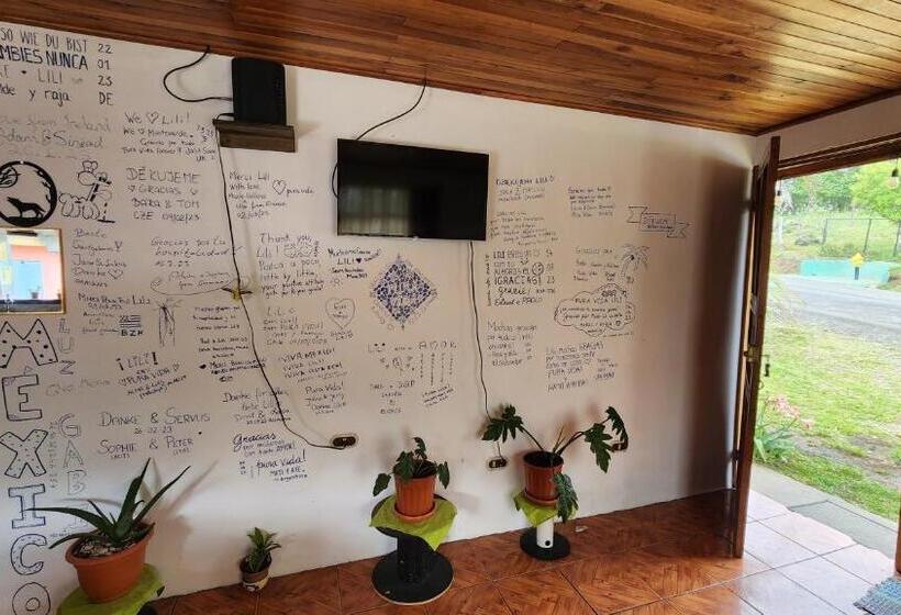 צימר Twin Palms Lodge