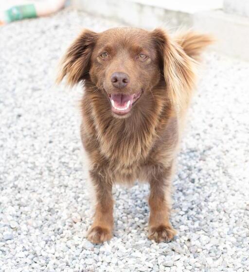 호텔 Agriturismo Da Natalino