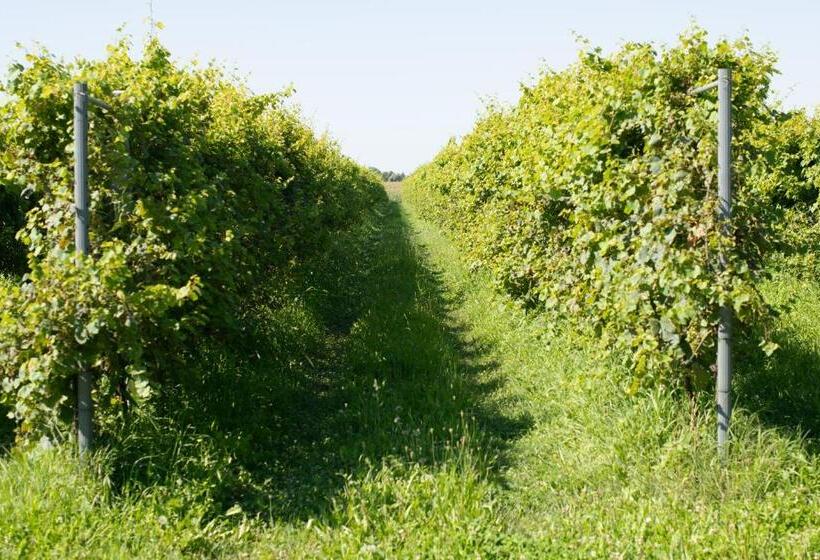 호텔 Agriturismo Da Natalino