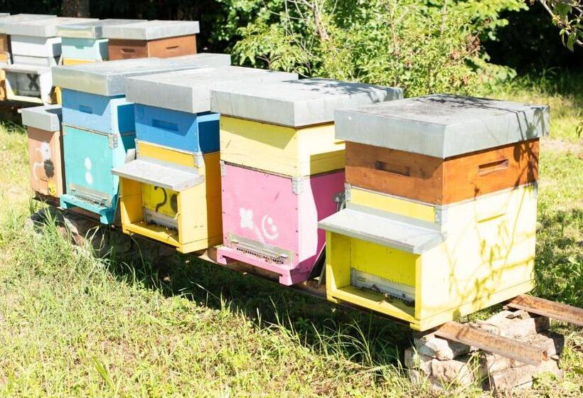 호텔 Agriturismo Da Natalino