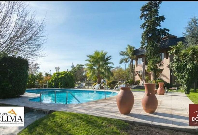 Отель Domus Auditorium