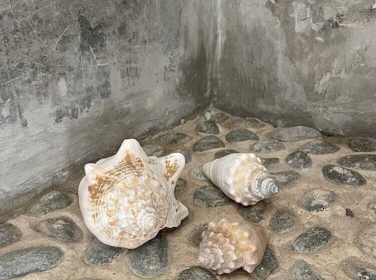 בית מלון כפרי Dos Mares Barefoot