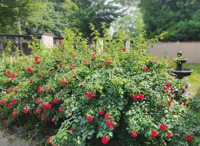 ホテル Empress Palace