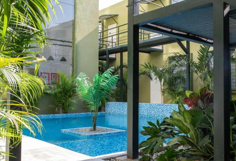 فندق Oasis Tropical