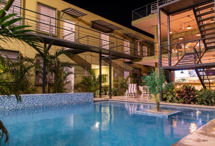 فندق Oasis Tropical