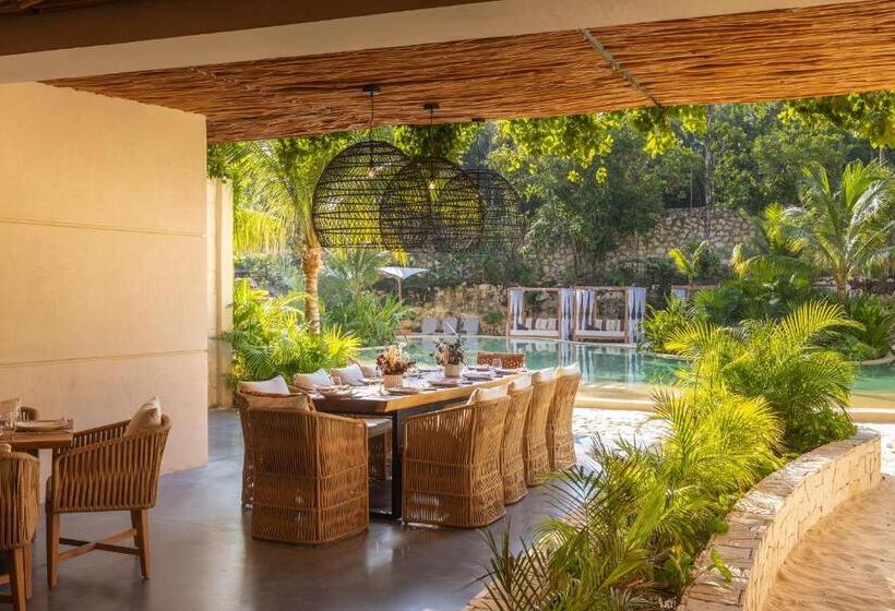 هتل Secrets Tulum Resort & Beach Club   Adults Only   All Inclusive