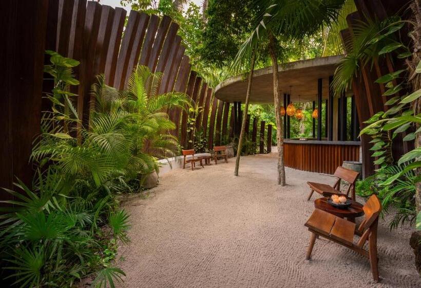 هتل Secrets Tulum Resort & Beach Club   Adults Only   All Inclusive