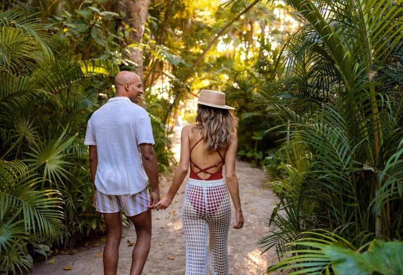 هتل Secrets Tulum Resort & Beach Club   Adults Only   All Inclusive