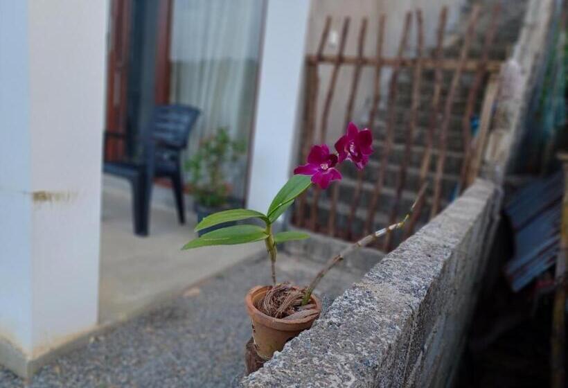 ホテル Sparrow Villa Mirissa