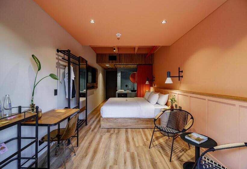 酒店 The Somos Bold