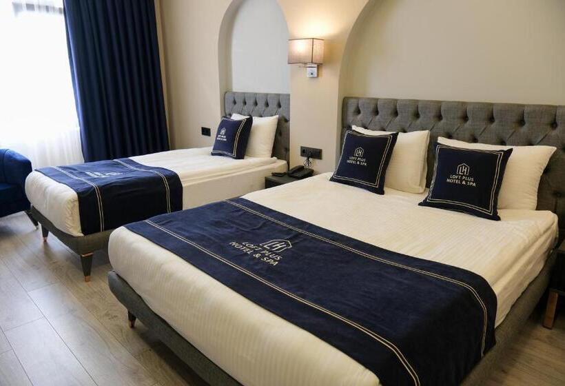 Loft Plus Hotel S