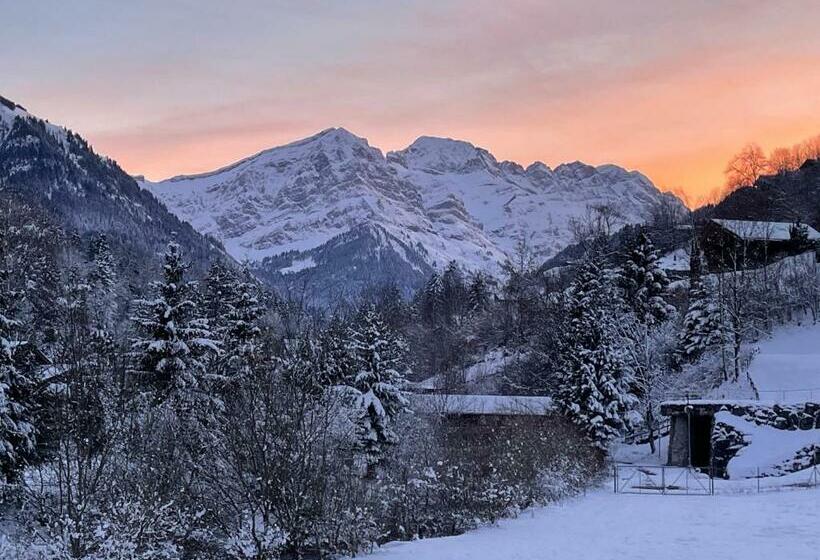 Mountain River Appart