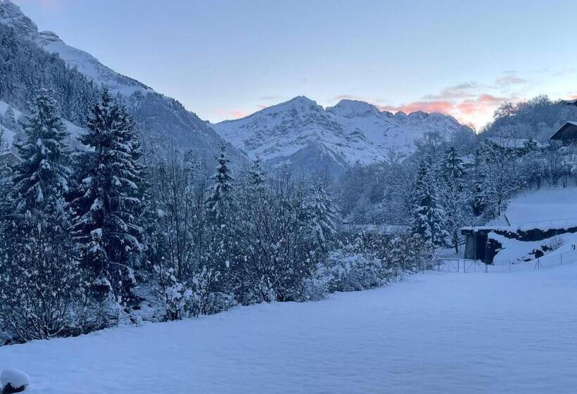 Mountain River Appart