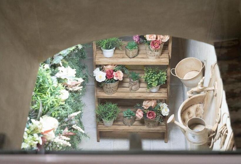 פנסיון B & B Infinity